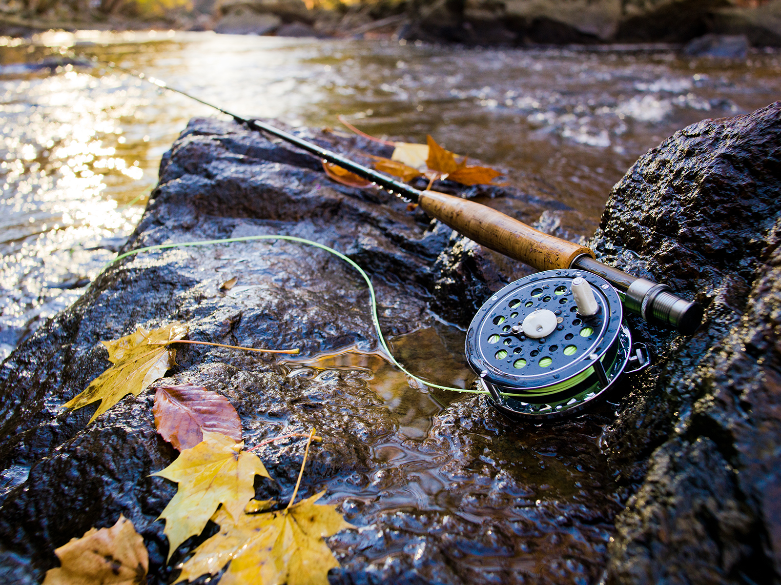 Fly Fishing